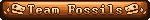 Team Fossils 2